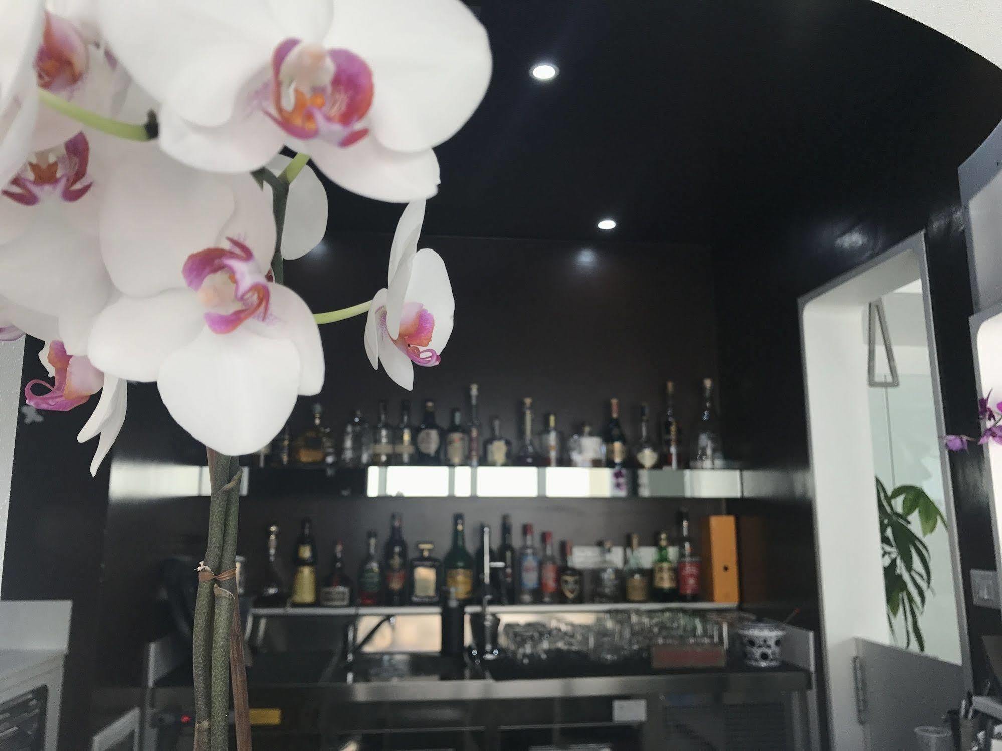 Quihotel Porto Cesareo Exterior foto